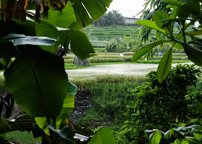 Riverside Medewi 3* Airsatang