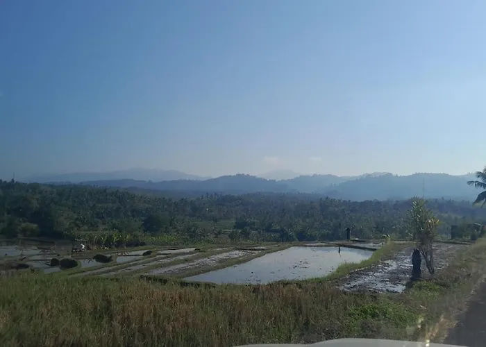 Riverside Medewi